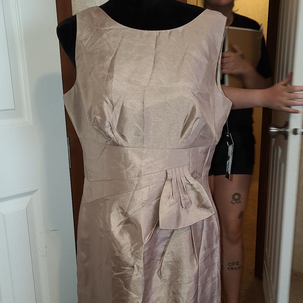 NWT Tahari sz 10 champagne gold dress